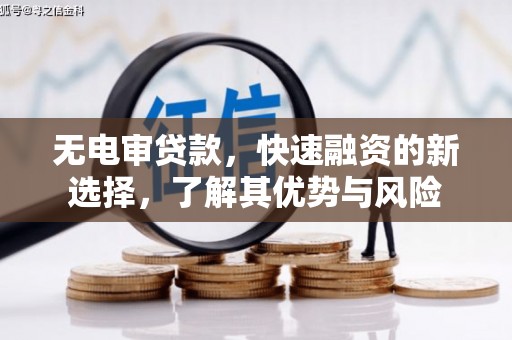 云林无电审贷款，快速融资的新选择，了解其优势与风险