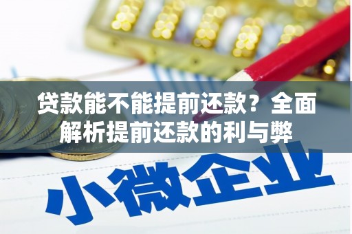 云林贷款能不能提前还款？全面解析提前还款的利与弊