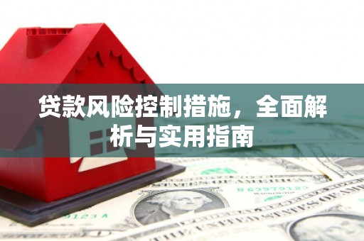 云林贷款风险控制措施，全面解析与实用指南