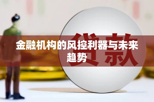 云林金融机构的风控利器与未来趋势