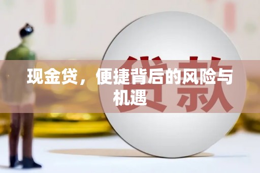 云林现金贷，便捷背后的风险与机遇