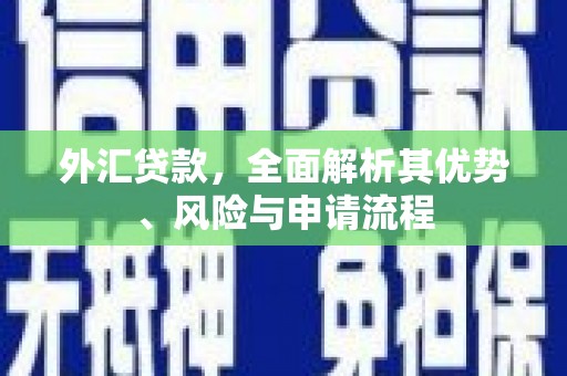 云林外汇贷款，全面解析其优势、风险与申请流程