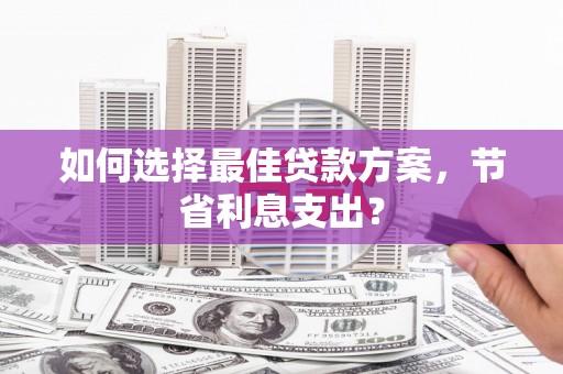 云林如何选择最佳贷款方案，节省利息支出？