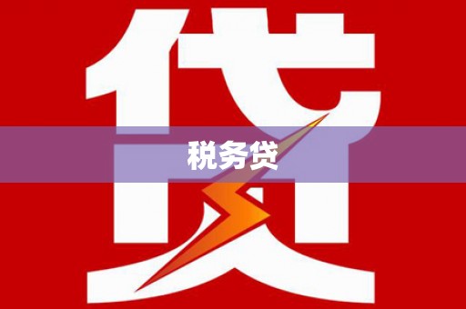 云林税务贷