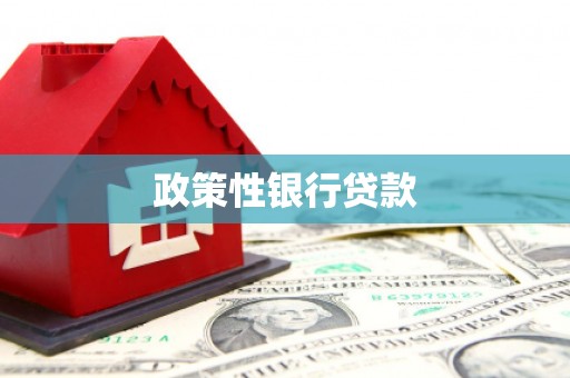 云林政策性银行贷款
