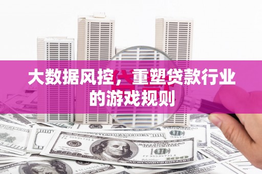 云林大数据风控，重塑贷款行业的游戏规则