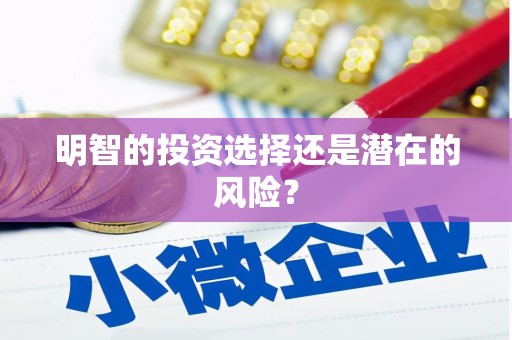 云林明智的投资选择还是潜在的风险？
