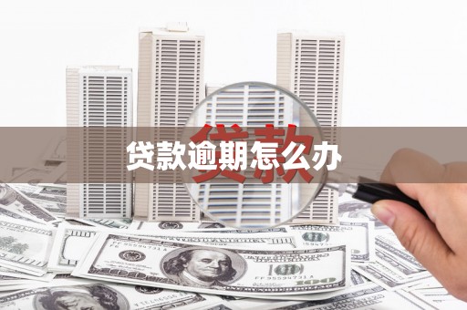 云林贷款逾期怎么办