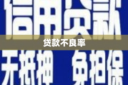 云林贷款不良率