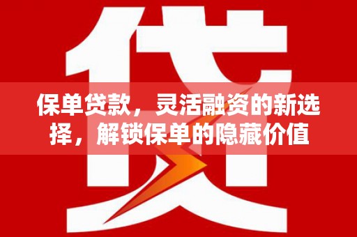 云林保单贷款，灵活融资的新选择，解锁保单的隐藏价值