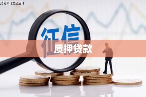 云林质押贷款