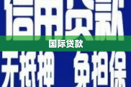 云林国际贷款
