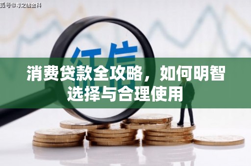 云林消费贷款全攻略，如何明智选择与合理使用