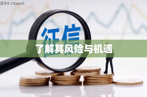 云林了解其风险与机遇