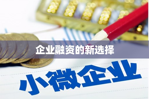 云林企业融资的新选择
