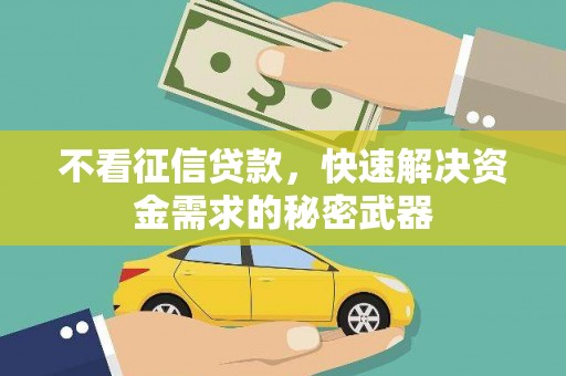 云林不看征信贷款，快速解决资金需求的秘密武器