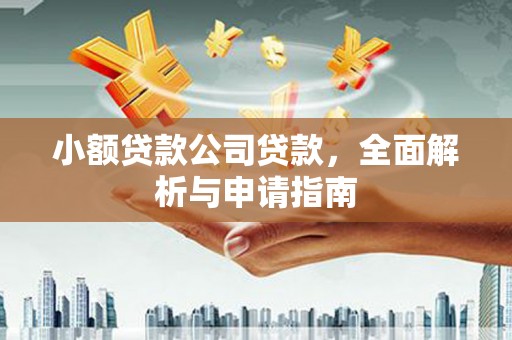 云林小额贷款公司贷款，全面解析与申请指南