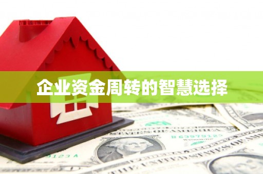 云林企业资金周转的智慧选择
