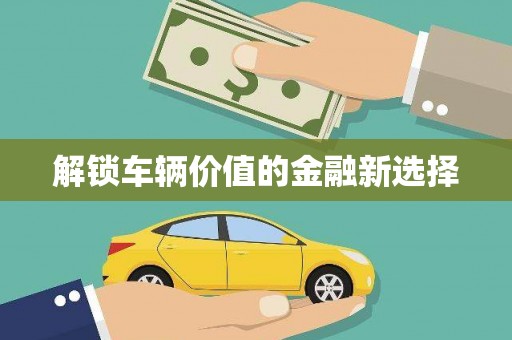 云林解锁车辆价值的金融新选择