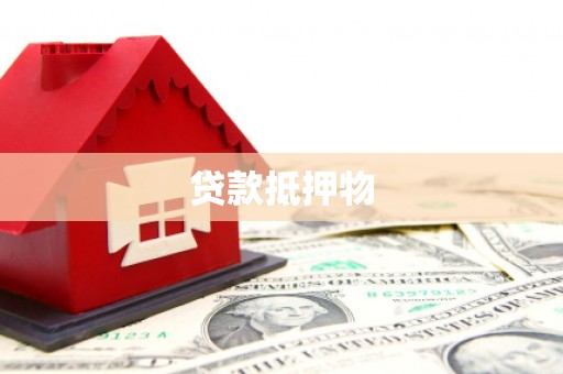 云林贷款抵押物