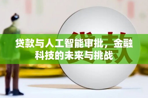 云林贷款与人工智能审批，金融科技的未来与挑战
