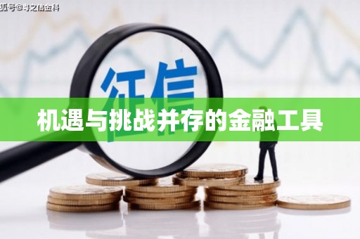 云林机遇与挑战并存的金融工具