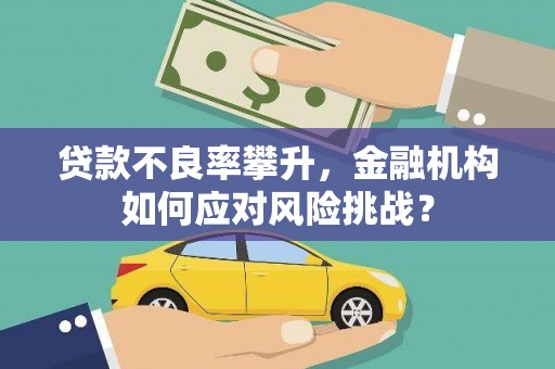 云林贷款不良率攀升，金融机构如何应对风险挑战？