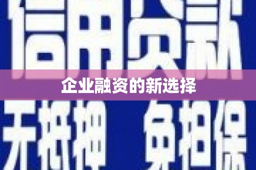 云林企业融资的新选择