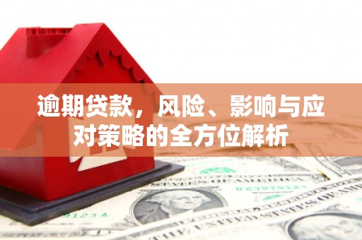云林逾期贷款，风险、影响与应对策略的全方位解析