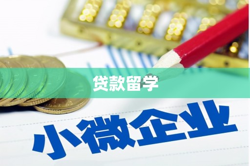 云林贷款留学