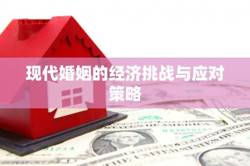 云林现代婚姻的经济挑战与应对策略