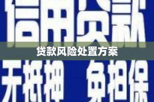 云林贷款风险处置方案