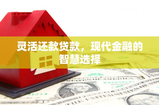 云林灵活还款贷款，现代金融的智慧选择