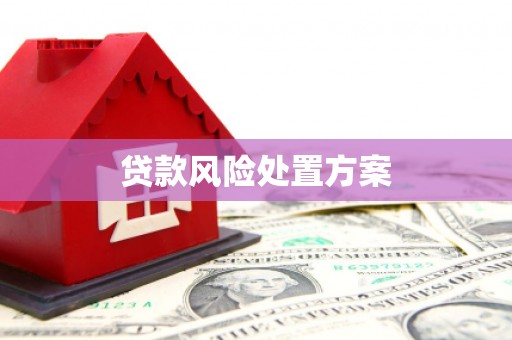 云林贷款风险处置方案