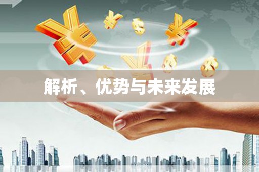 云林解析、优势与未来发展