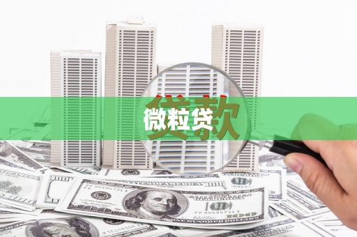 云林微粒贷
