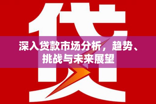 云林深入贷款市场分析，趋势、挑战与未来展望
