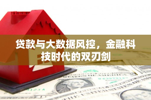 云林贷款与大数据风控，金融科技时代的双刃剑