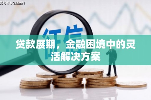 云林贷款展期，金融困境中的灵活解决方案