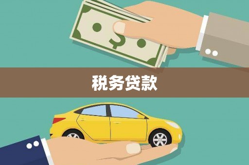云林税务贷款