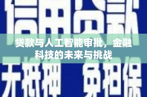 云林贷款与人工智能审批，金融科技的未来与挑战