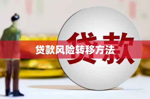 云林贷款风险转移方法