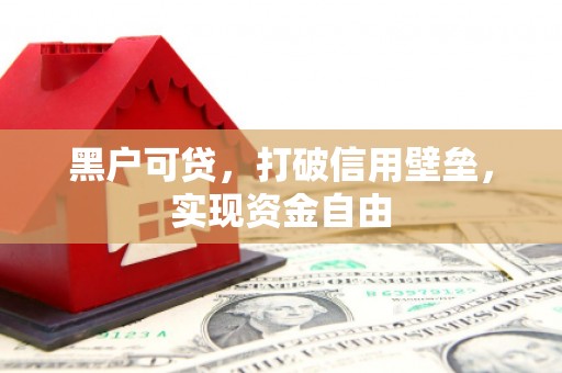 云林黑户可贷，打破信用壁垒，实现资金自由