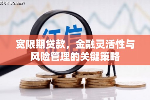 云林宽限期贷款，金融灵活性与风险管理的关键策略