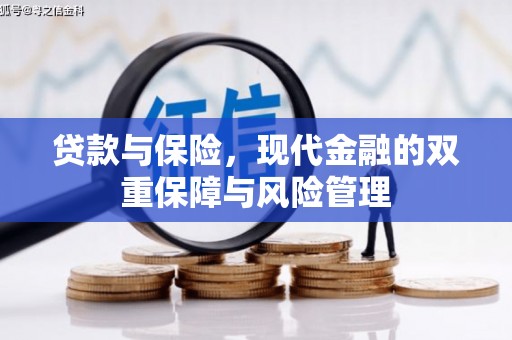 云林贷款与保险，现代金融的双重保障与风险管理