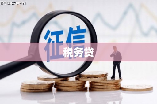云林税务贷