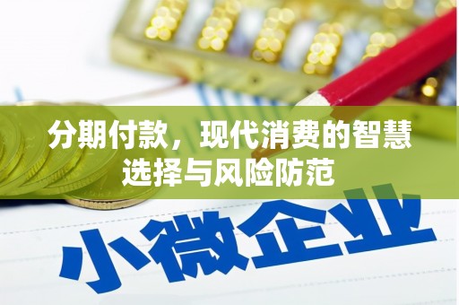 云林分期付款，现代消费的智慧选择与风险防范