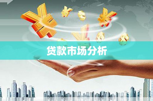 云林贷款市场分析