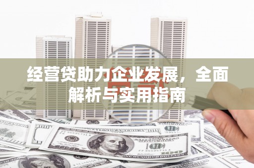 云林经营贷助力企业发展，全面解析与实用指南