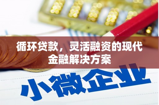 云林循环贷款，灵活融资的现代金融解决方案